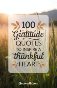 Gratitude quotes